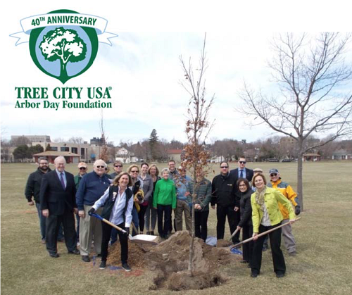 City of Sheboygan has been named Tree City USA for the 40th year