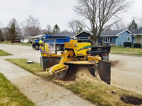 An old stump is ground down