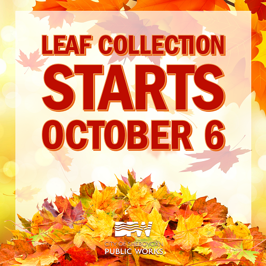 Department of Public Works Announces Start of Fall Leaf Collection Program